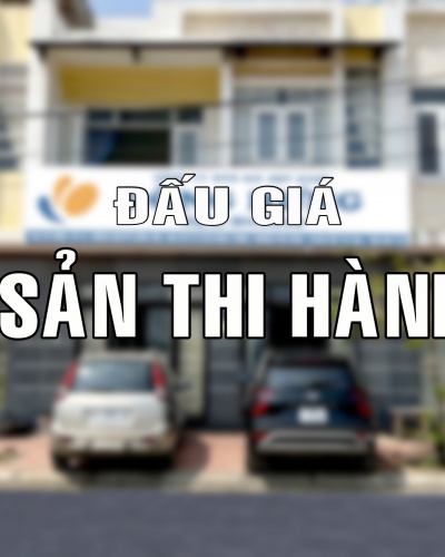 Đấu giá tài sản thi hành án theo quy định của pháp luật về thi hành án dân sự